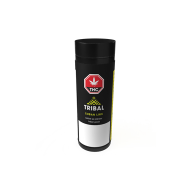 Neon Sunshine | SQDC