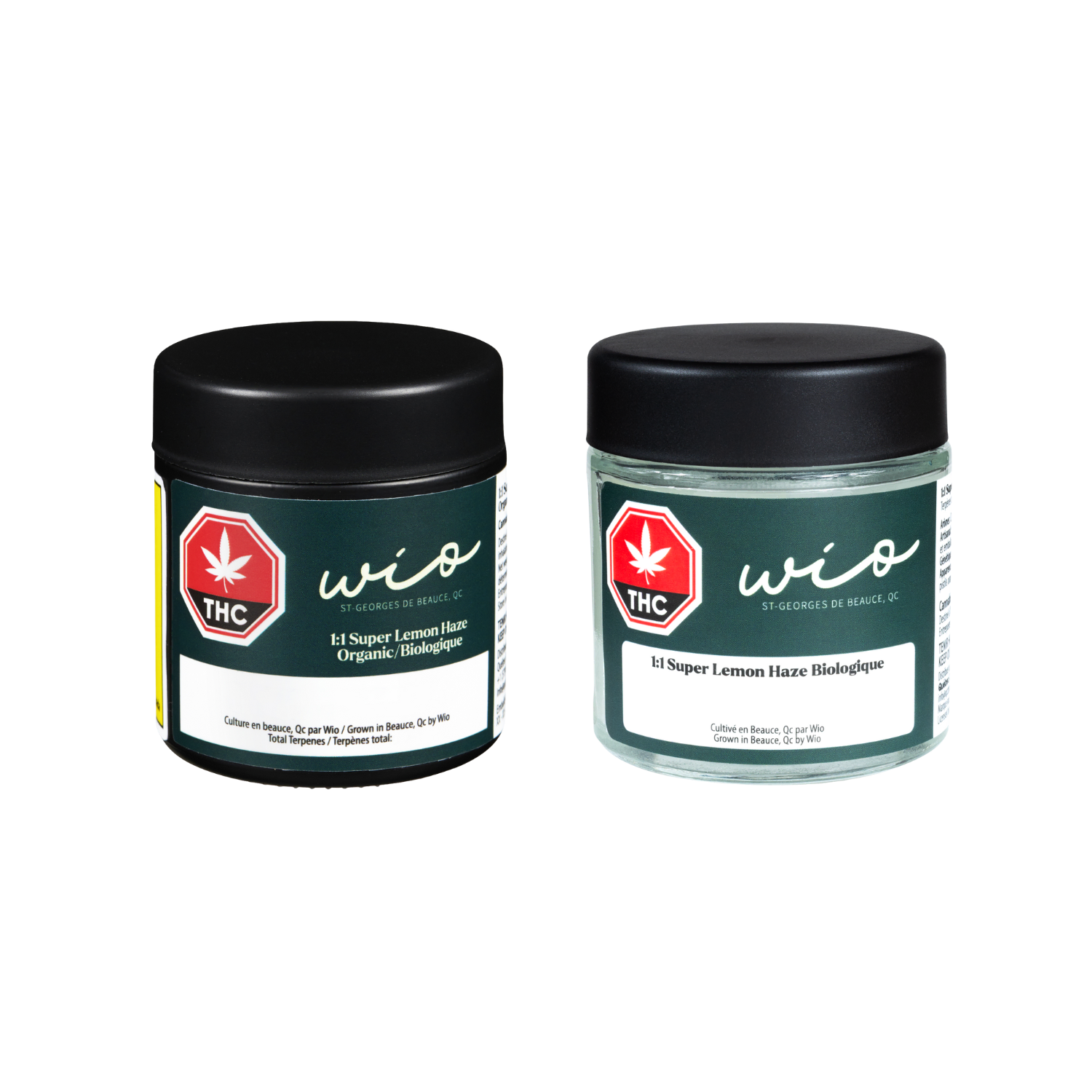 Super Lemon Haze Biologique | SQDC