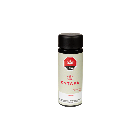 Fraise Crème